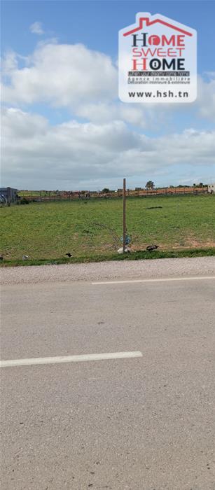 Mornaguia&nbsp;Mornaguia&nbsp;Terrain&nbsp;Terrain agricole&nbsp;Terrain agricole mirona � mornaguia