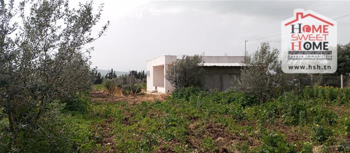 Mateur&nbsp;Mateur&nbsp;Terrain&nbsp;Terrain agricole&nbsp;Terrain agricole fructia � mateur