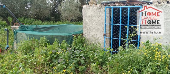 Mateur&nbsp;Mateur&nbsp;Terrain&nbsp;Terrain agricole&nbsp;Terrain agricole fructia � mateur