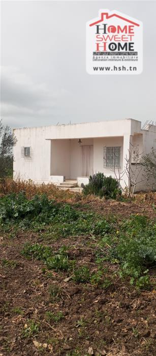 Mateur&nbsp;Mateur&nbsp;Terrain&nbsp;Terrain agricole&nbsp;Terrain agricole fructia � mateur