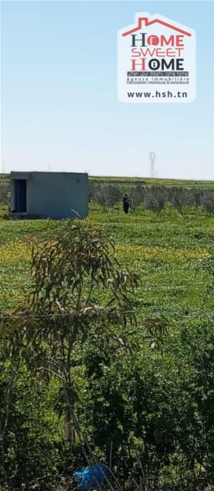 Mornaguia&nbsp;Mornaguia&nbsp;Terrain&nbsp;Terrain agricole&nbsp;Terrain agrciole melora � mornaguia