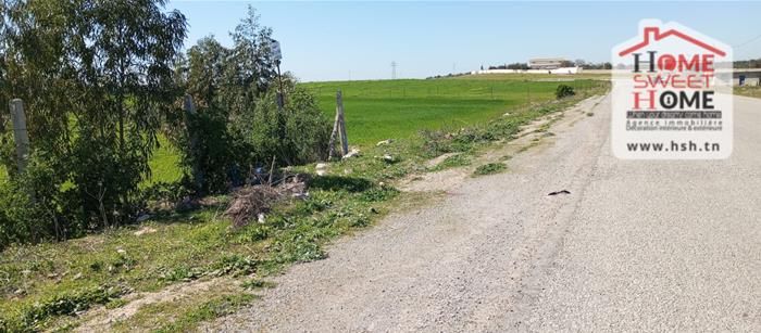 Mornaguia&nbsp;Mornaguia&nbsp;Terrain&nbsp;Terrain agricole&nbsp;Terrain agrciole melora � mornaguia