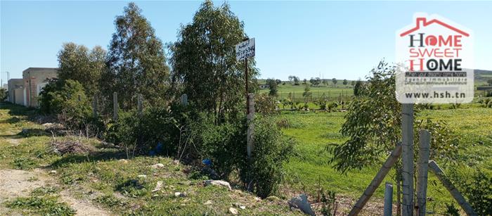 Mornaguia&nbsp;Mornaguia&nbsp;Terrain&nbsp;Terrain agricole&nbsp;Terrain agrciole melora � mornaguia