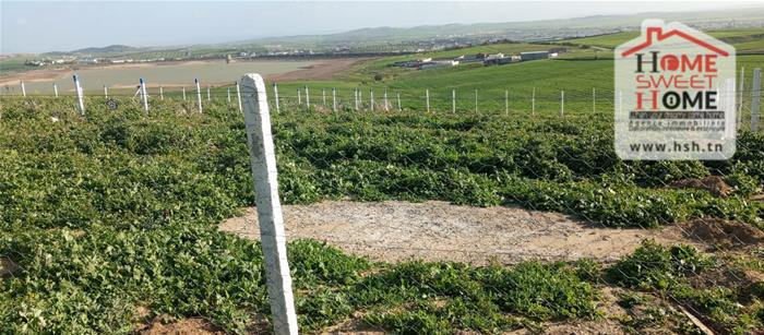 Mornaguia&nbsp;Mornaguia&nbsp;Terrain&nbsp;Terrain agricole&nbsp;Terrain agricole goria � mornaguia