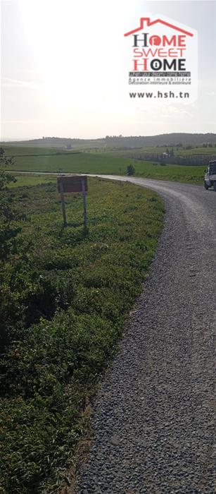 Mornaguia&nbsp;Mornaguia&nbsp;Terrain&nbsp;Terrain agricole&nbsp;Terrain agricole goria � mornaguia