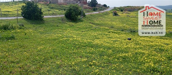 Mornaguia&nbsp;Mornaguia&nbsp;Terrain&nbsp;Terrain agricole&nbsp;Terrain agricole goria � mornaguia