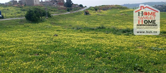 Mornaguia&nbsp;Mornaguia&nbsp;Terrain&nbsp;Terrain agricole&nbsp;Terrain agricole goria � mornaguia