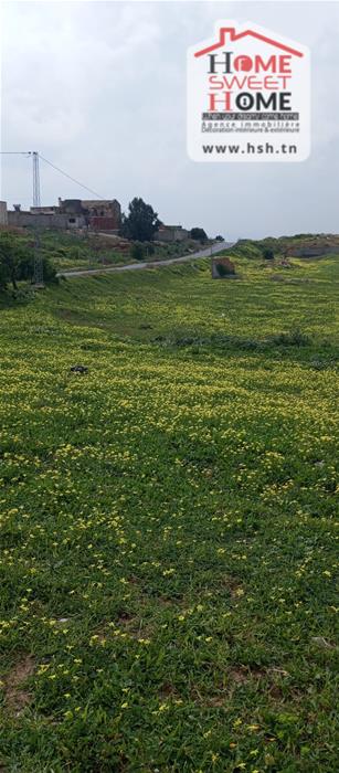 Mornaguia&nbsp;Mornaguia&nbsp;Terrain&nbsp;Terrain agricole&nbsp;Terrain agricole goria � mornaguia