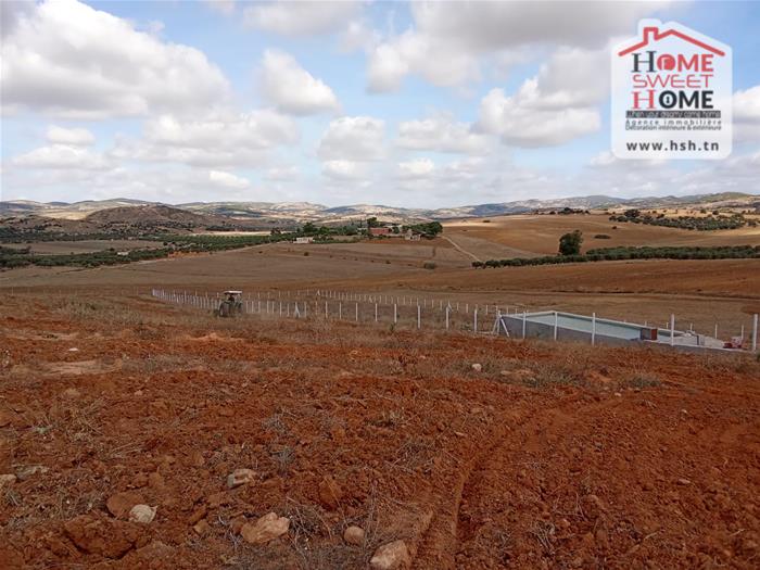 Zaghouan&nbsp;Zaghouan&nbsp;Terrain&nbsp;Terrain agricole&nbsp;Terrain agricole olmira � zaghouan