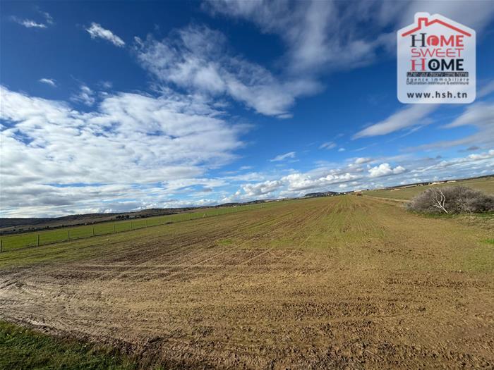 Bir Mcherga&nbsp;Bir Mcherga&nbsp;Terrain&nbsp;Terrain agricole&nbsp;Terrain agricole olival � bir mcherga zaghouan