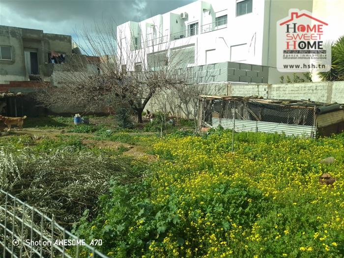 La Marsa&nbsp;Gammart&nbsp;Terrain&nbsp;Terrain nu&nbsp;Terrain villa alvion � gammarth