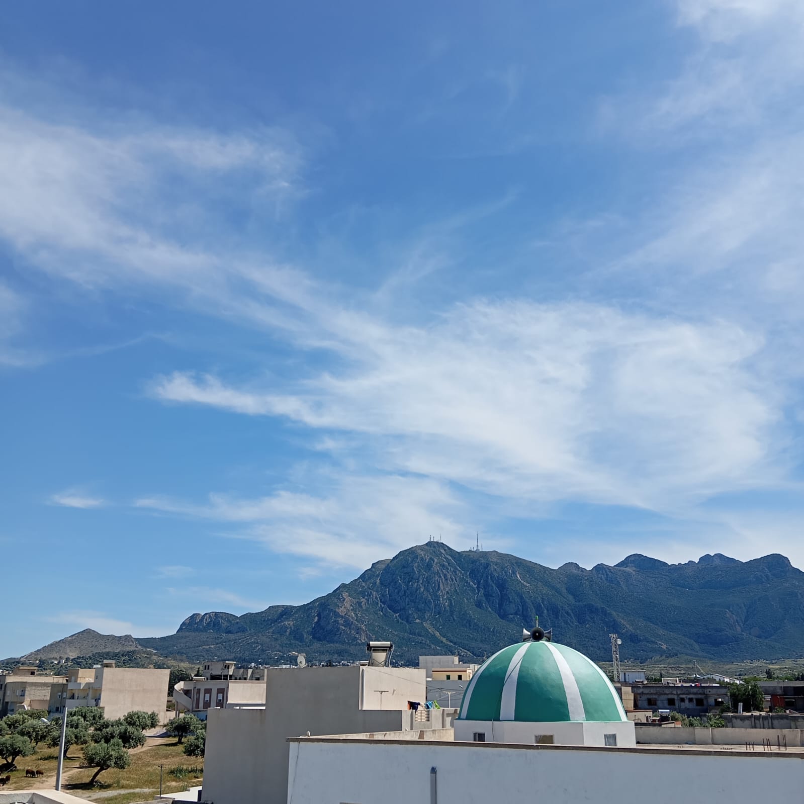 Zaghouan&nbsp;Zaghouan&nbsp;Bureaux & Commerces&nbsp;Surfaces&nbsp;Grand local commercial zaghouan