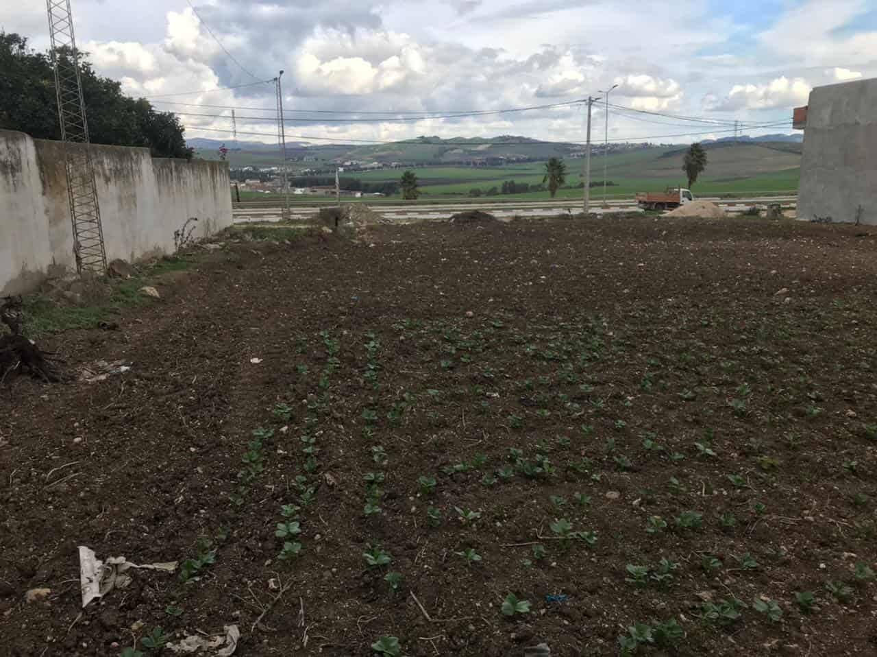 Beja Nord&nbsp;Beja&nbsp;Terrain&nbsp;Terrain nu&nbsp;Terrain opportunit� � b�ja