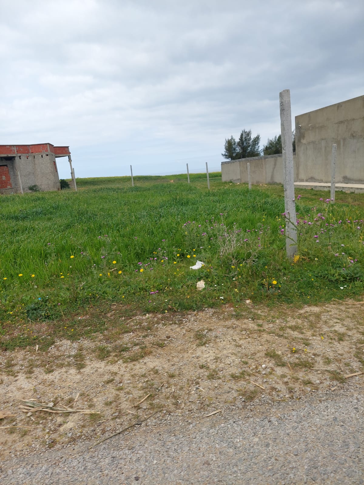 El Haouaria&nbsp;Bir El Jedey&nbsp;Terrain&nbsp;Terrain nu&nbsp;Terrain a bir el jedy