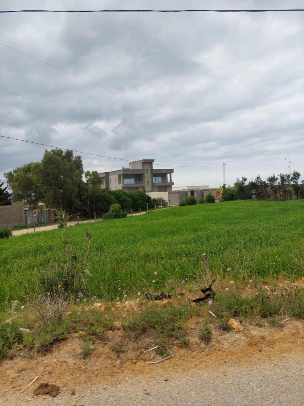 El Haouaria&nbsp;Bir El Jedey&nbsp;Terrain&nbsp;Terrain nu&nbsp;Terrain a bir el jedy