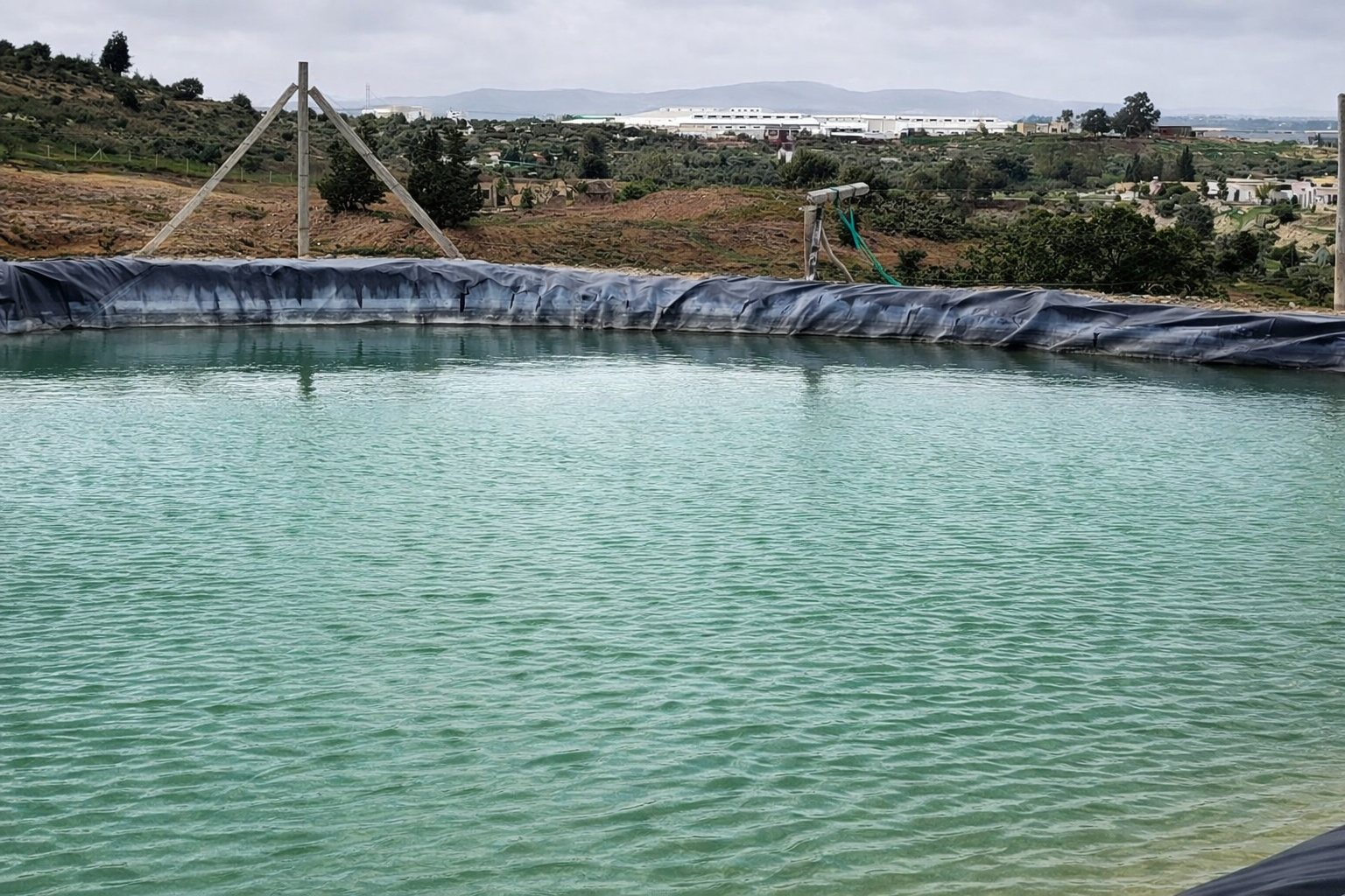 Zaghouan&nbsp;Zaghouan&nbsp;Terrain&nbsp;Terrain agricole&nbsp;Opportunit�  35 hectars � zaghouen