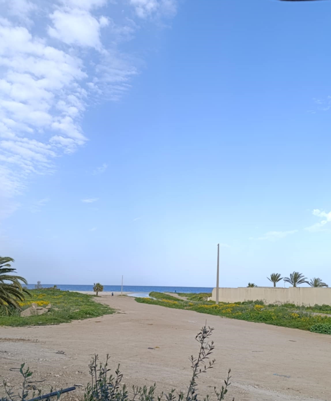 Bizerte Nord&nbsp;Bizerte&nbsp;Location&nbsp;Appart. 1 pi�ce&nbsp;Un studio pied dans l'eau bizerte