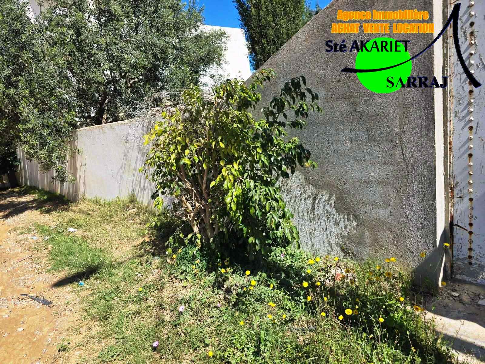 Akouda&nbsp;Chatt Meriem&nbsp;Terrain&nbsp;Terrain agricole&nbsp;Lot 485m zone des villas en face koussour gharnata