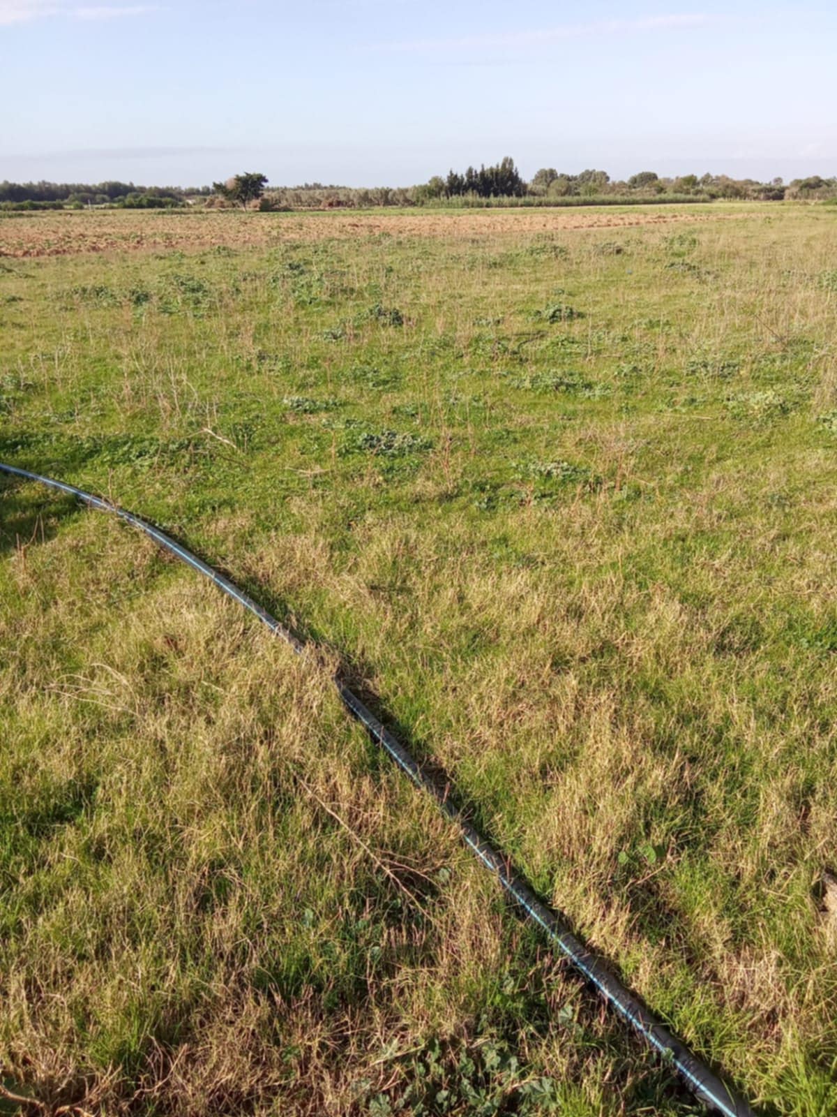 Kelibia&nbsp;Dar Allouche&nbsp;Terrain&nbsp;Terrain agricole&nbsp;3000m2 opportunit� prix80000 dt