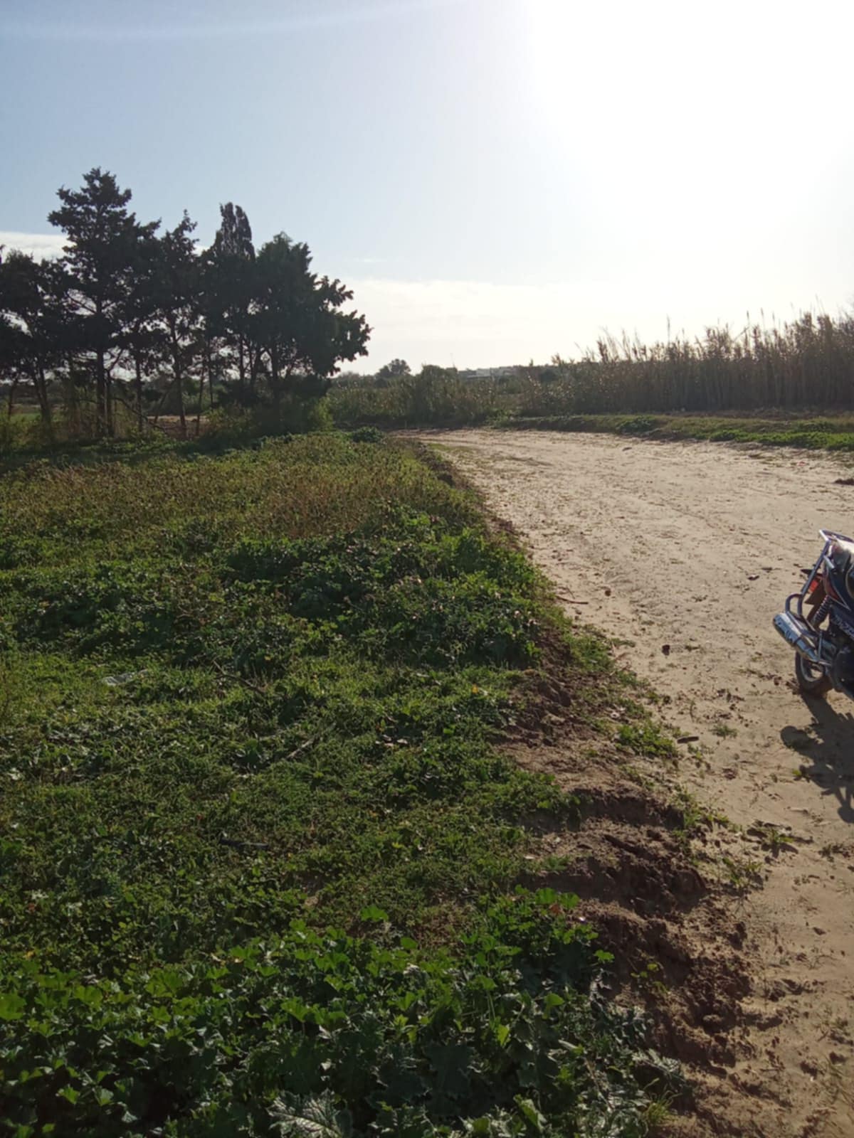 Kelibia&nbsp;Dar Allouche&nbsp;Terrain&nbsp;Terrain nu&nbsp;2000m2 pres de la plage seuelement a 100mdt