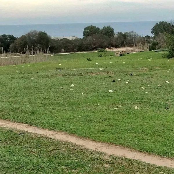 Kelibia&nbsp;Dar Allouche&nbsp;Terrain&nbsp;Terrain agricole&nbsp;4000m2 seulement a 70000 dt