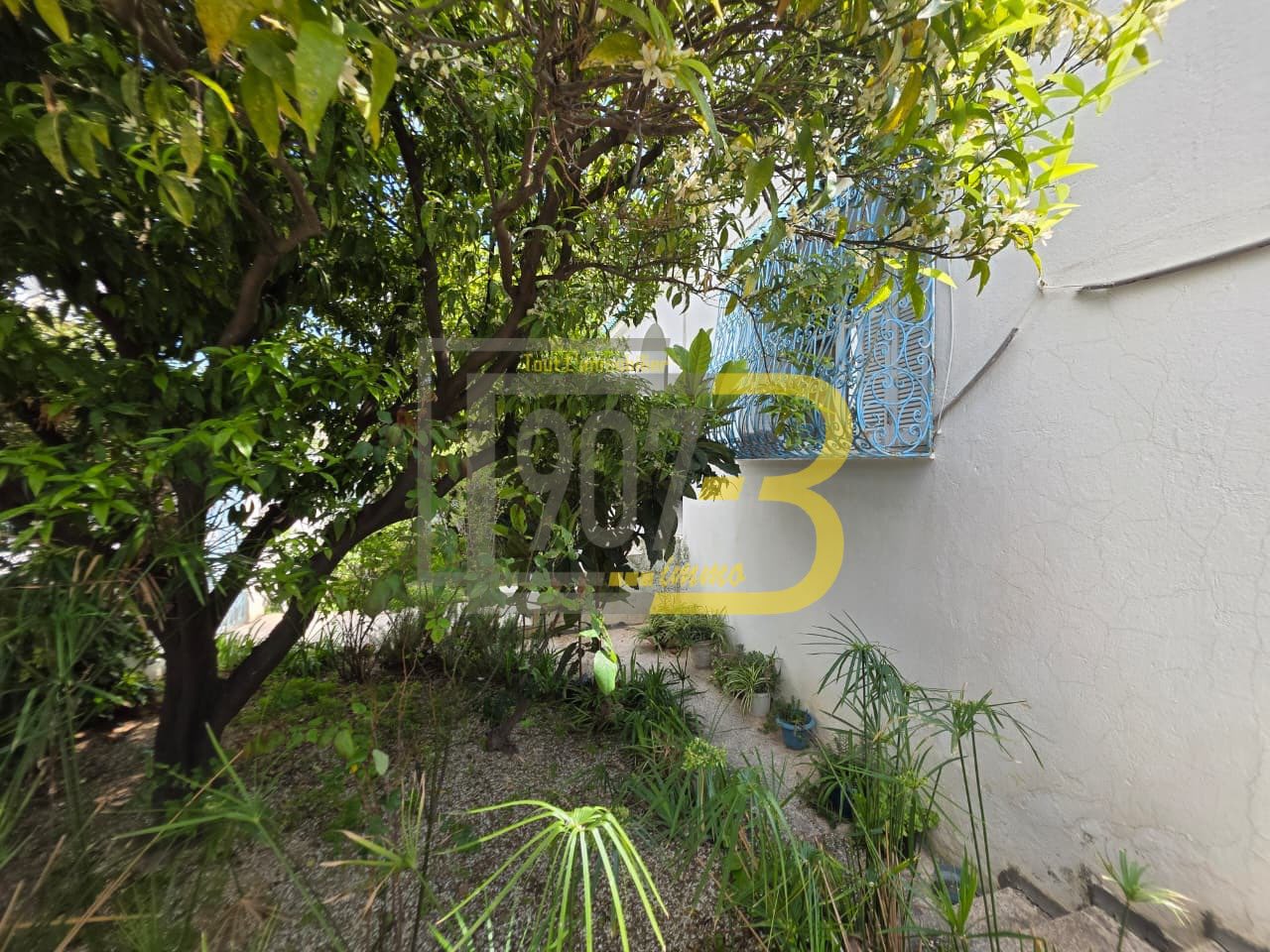 Ariana Ville&nbsp;El Menzah 6&nbsp;Vente&nbsp;Maisons&nbsp;Villa � fort potentiel � el menzah 6