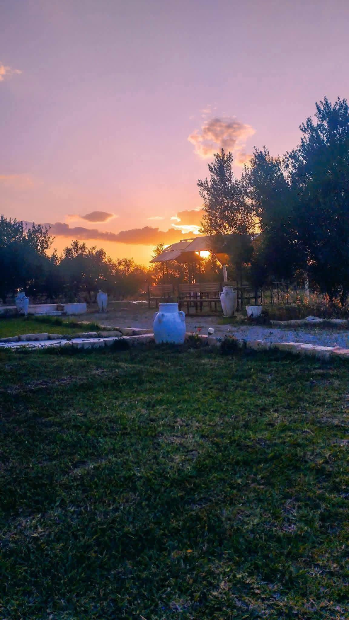 Bou Merdes&nbsp;Bou Merdes&nbsp;Terrain&nbsp;Terrain agricole&nbsp;Terrain 800 m2oliviers avec villa et chalets