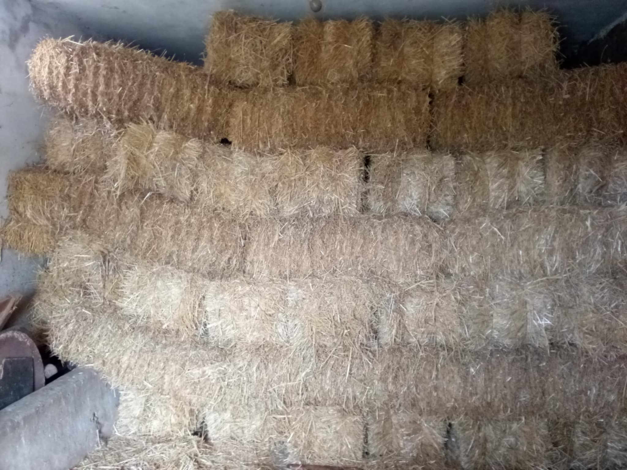 Beja Nord&nbsp;Beja&nbsp;Autre&nbsp;Autre&nbsp;260 bala tben beja