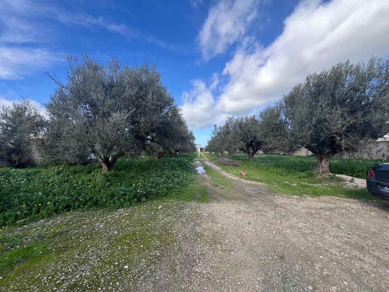 Raoued&nbsp;Borj Touil&nbsp;Vente&nbsp;Maisons&nbsp;� sidi younes