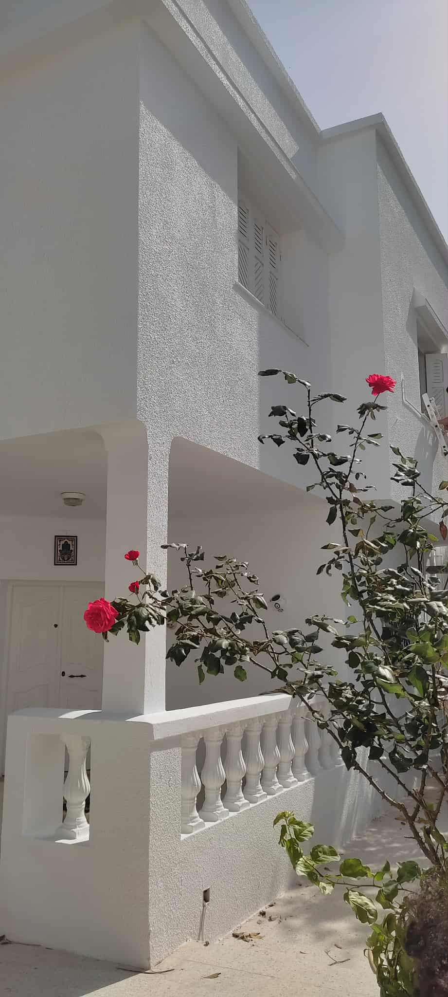 Hammamet&nbsp;Hammamet&nbsp;Vente&nbsp;Maisons&nbsp;Opportunit�