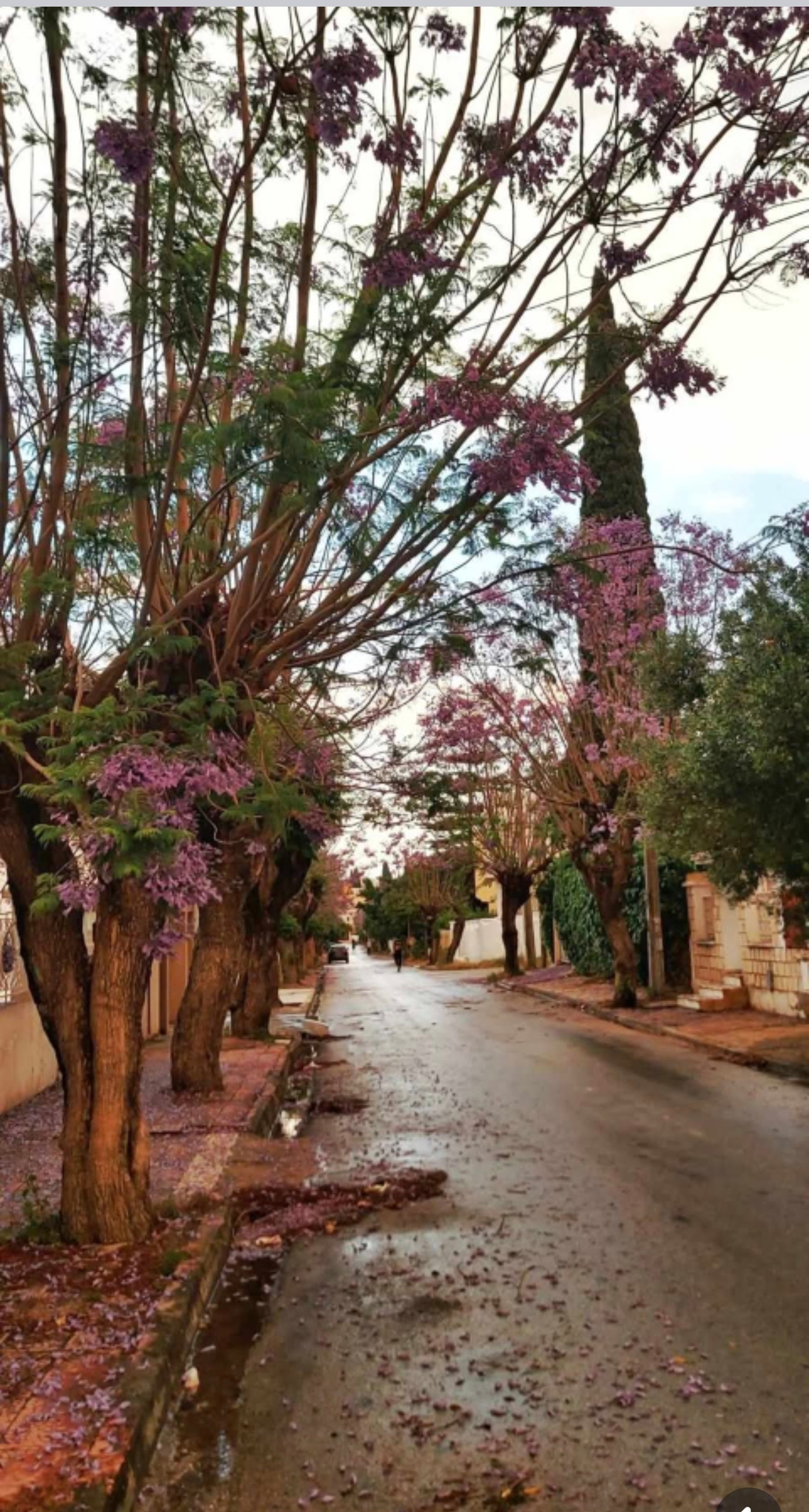Megrine&nbsp;Sidi Rezig&nbsp;Vente&nbsp;Maisons&nbsp;Maison sidi rzig megrine