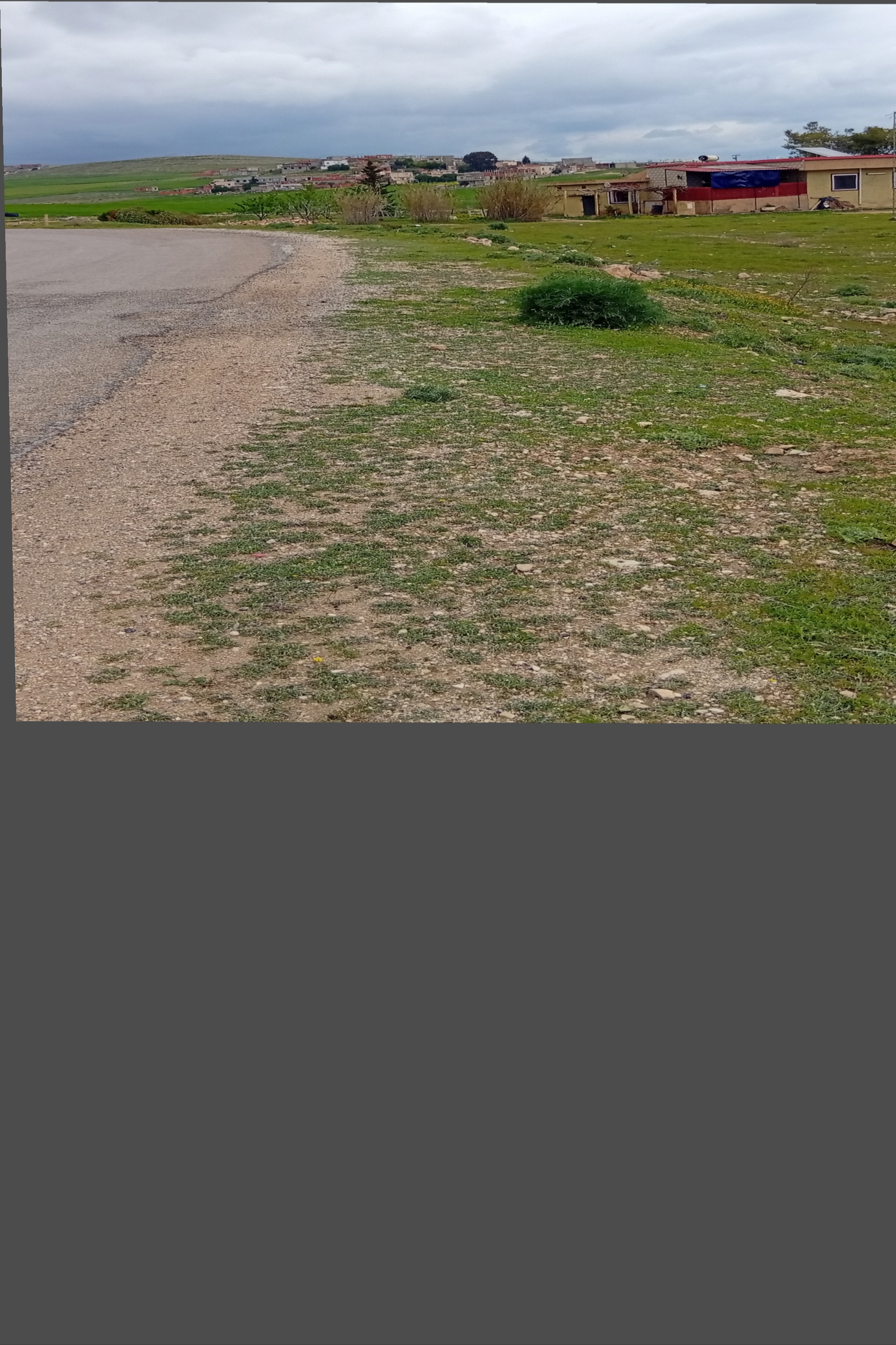 Le Kef Est&nbsp;Barnoussa&nbsp;Terrain&nbsp;Terrain nu&nbsp;Aradh llbi3 sidi abdallah tarik hamam malage