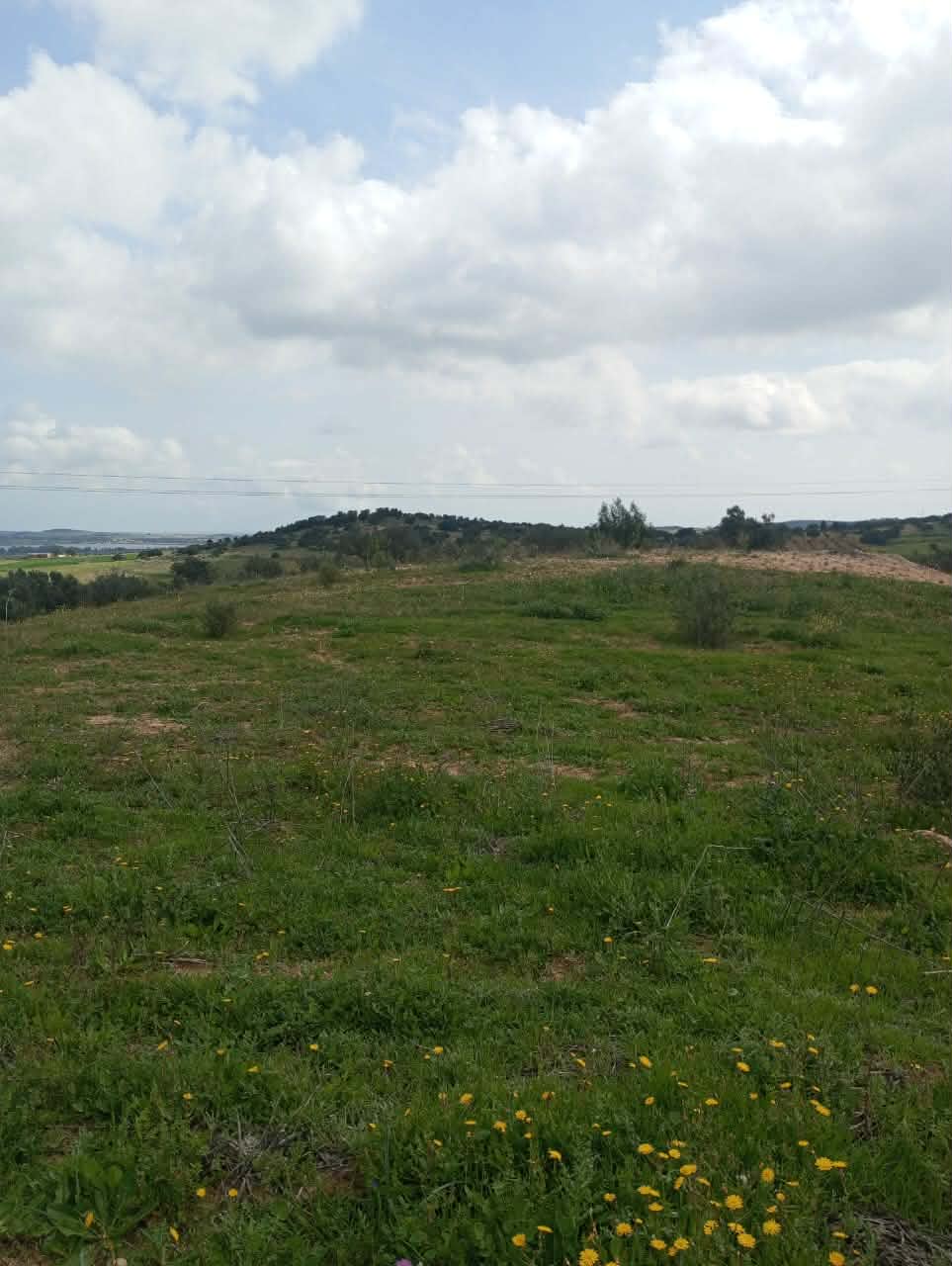 Hammam Zriba&nbsp;Bou Achir&nbsp;Terrain&nbsp;Terrain agricole&nbsp;Av terrain 4100m � zaghouan 99958728