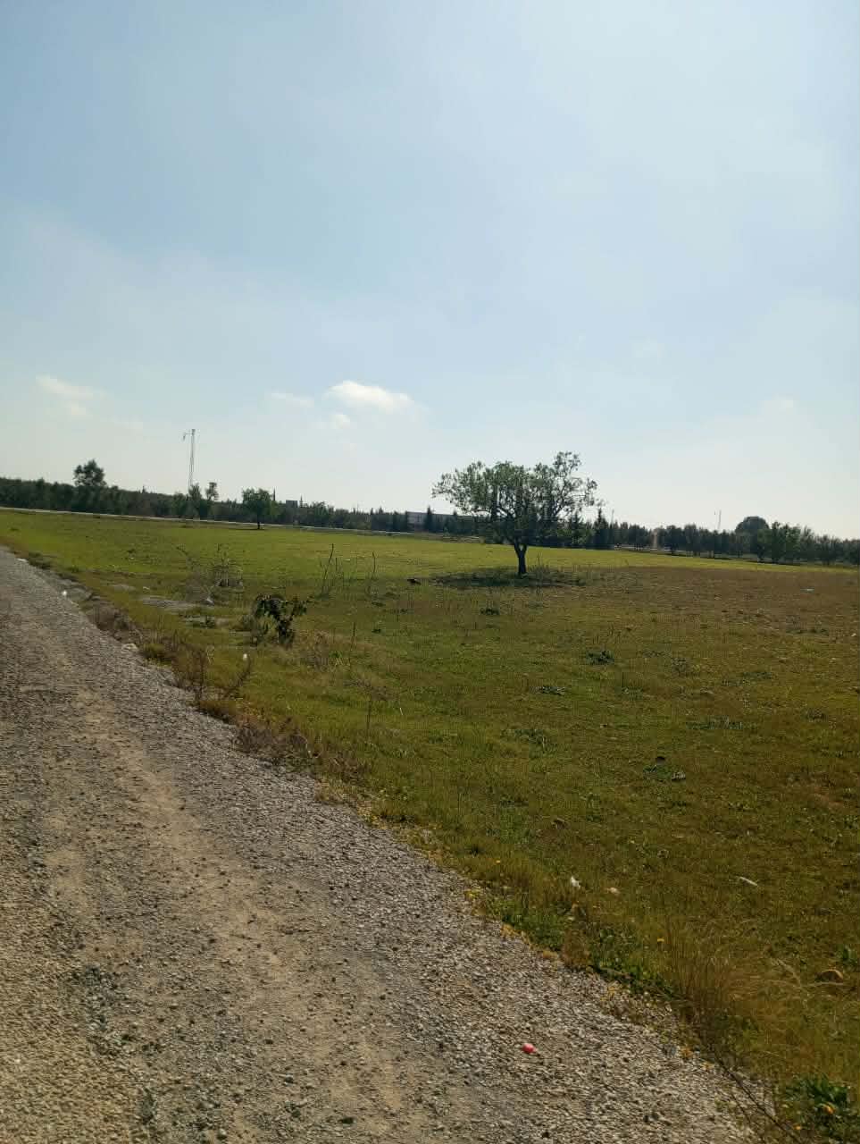 Hammamet&nbsp;Hammamet&nbsp;Terrain&nbsp;Terrain nu&nbsp;Av 1000m sur la route � sidi said