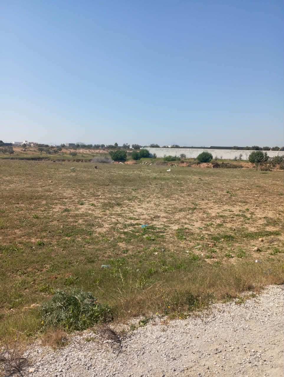 Hammamet&nbsp;Hammamet&nbsp;Terrain&nbsp;Terrain nu&nbsp;Av 1000m sur la route � sidi said