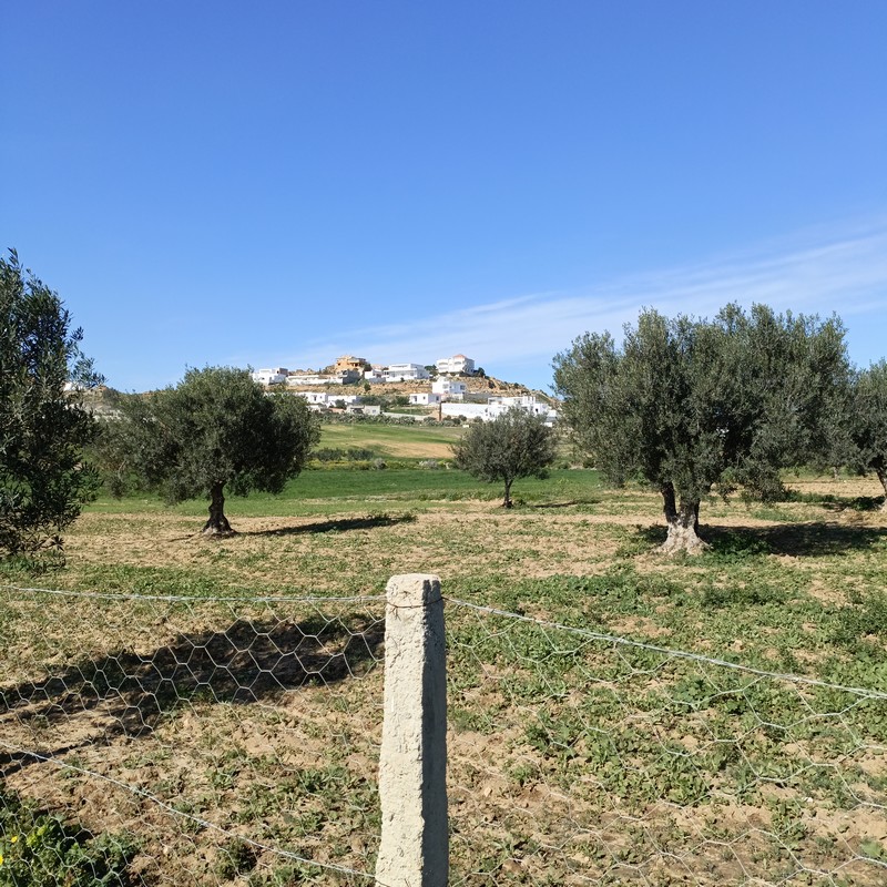 Hammamet&nbsp;Hammamet&nbsp;Terrain&nbsp;Terrain agricole&nbsp;Av 1680m cl�tur� � hammamet