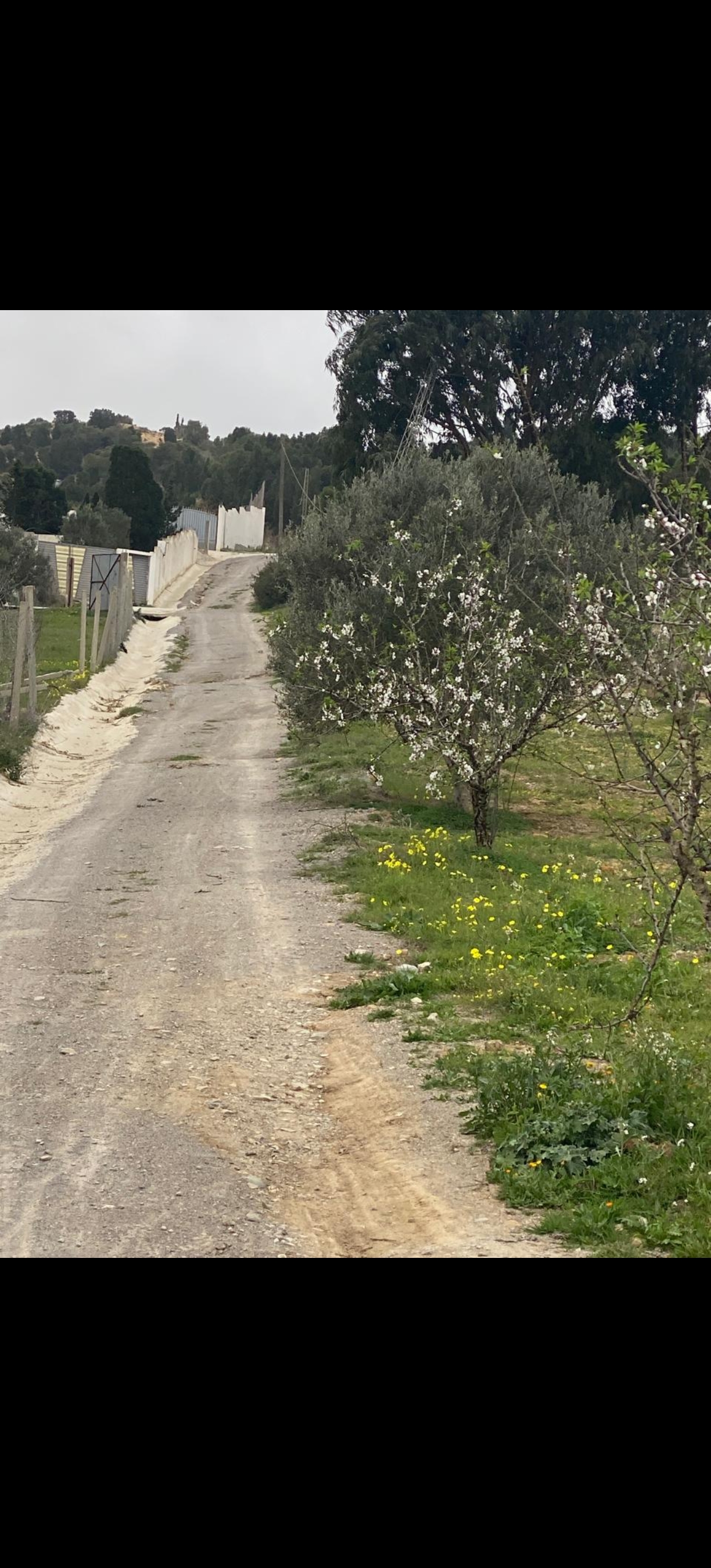 Hammamet&nbsp;Bir Bouregba&nbsp;Terrain&nbsp;Terrain nu&nbsp;Terrain clotur�  avec   sondage fonctionnel