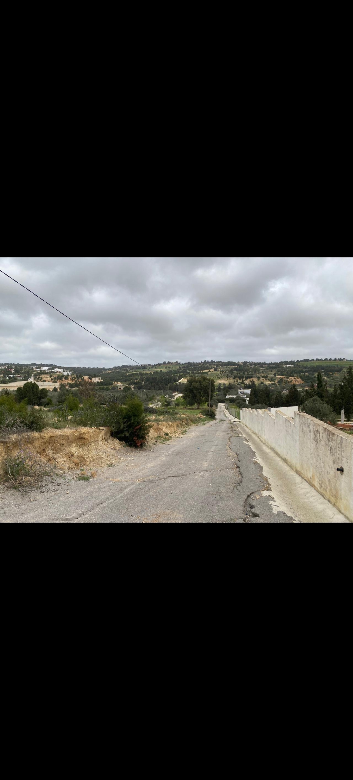 Hammamet&nbsp;Bir Bouregba&nbsp;Terrain&nbsp;Terrain nu&nbsp;Terrain clotur�  avec   sondage fonctionnel