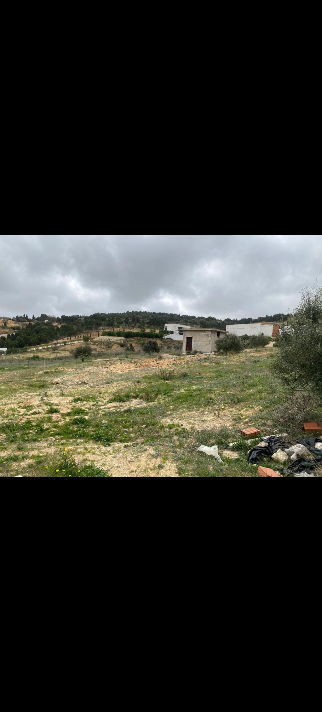 Hammamet&nbsp;Bir Bouregba&nbsp;Terrain&nbsp;Terrain nu&nbsp;Terrain clotur�  avec   sondage fonctionnel