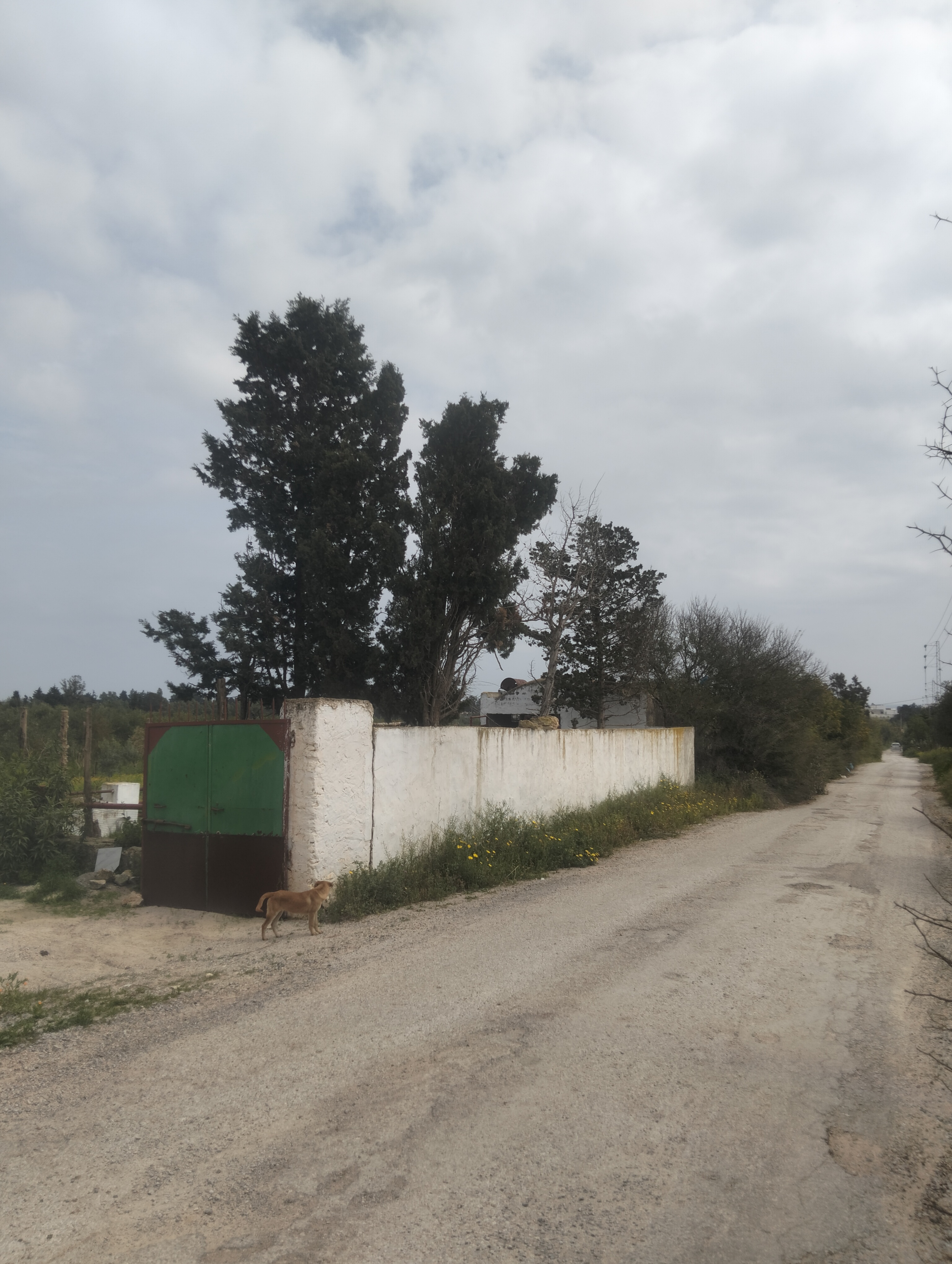 Korba&nbsp;Tazarka&nbsp;Terrain&nbsp;Terrain agricole&nbsp;Terrain agricole