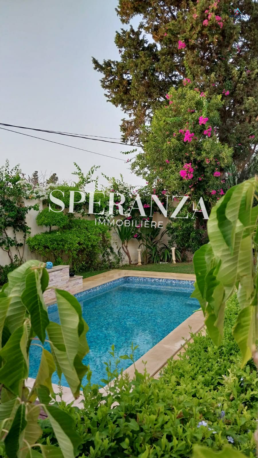 Nabeul&nbsp;Nabeul&nbsp;Location&nbsp;Appart. 1 pi�ce&nbsp;Bungalow la pavillon