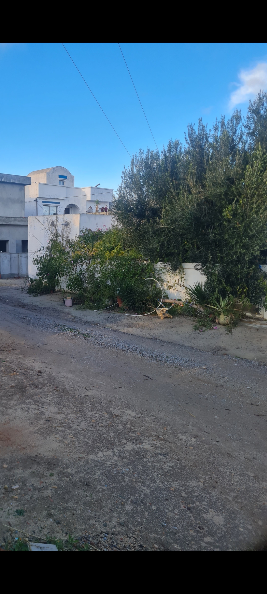 Hammamet&nbsp;Sidi Hmed&nbsp;Terrain&nbsp;Terrain nu&nbsp;Av 498m hammamet sud 7min de marina