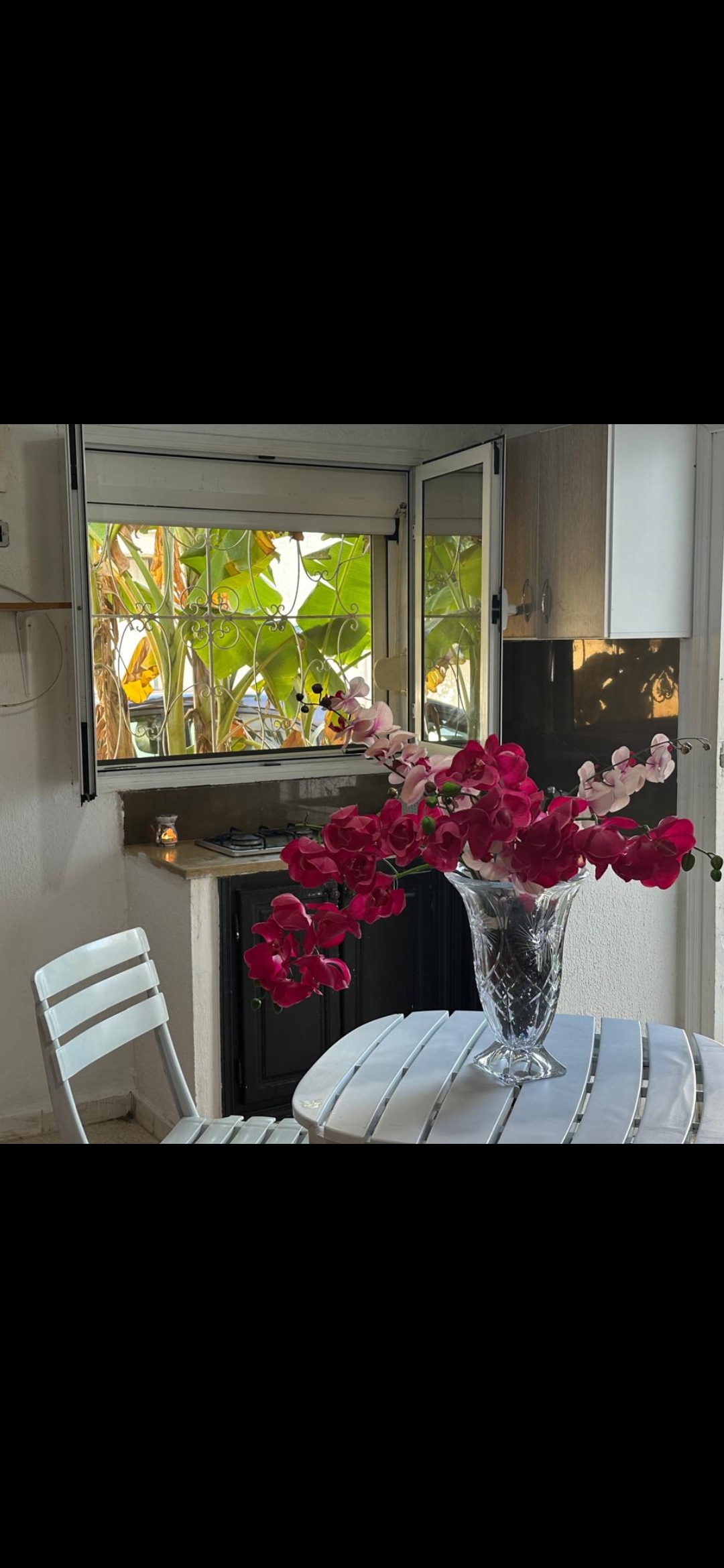 Ariana Ville&nbsp;El Menzah 5&nbsp;Location&nbsp;Appart. 1 pi�ce&nbsp;Menzeh 5 pour des etudiantes