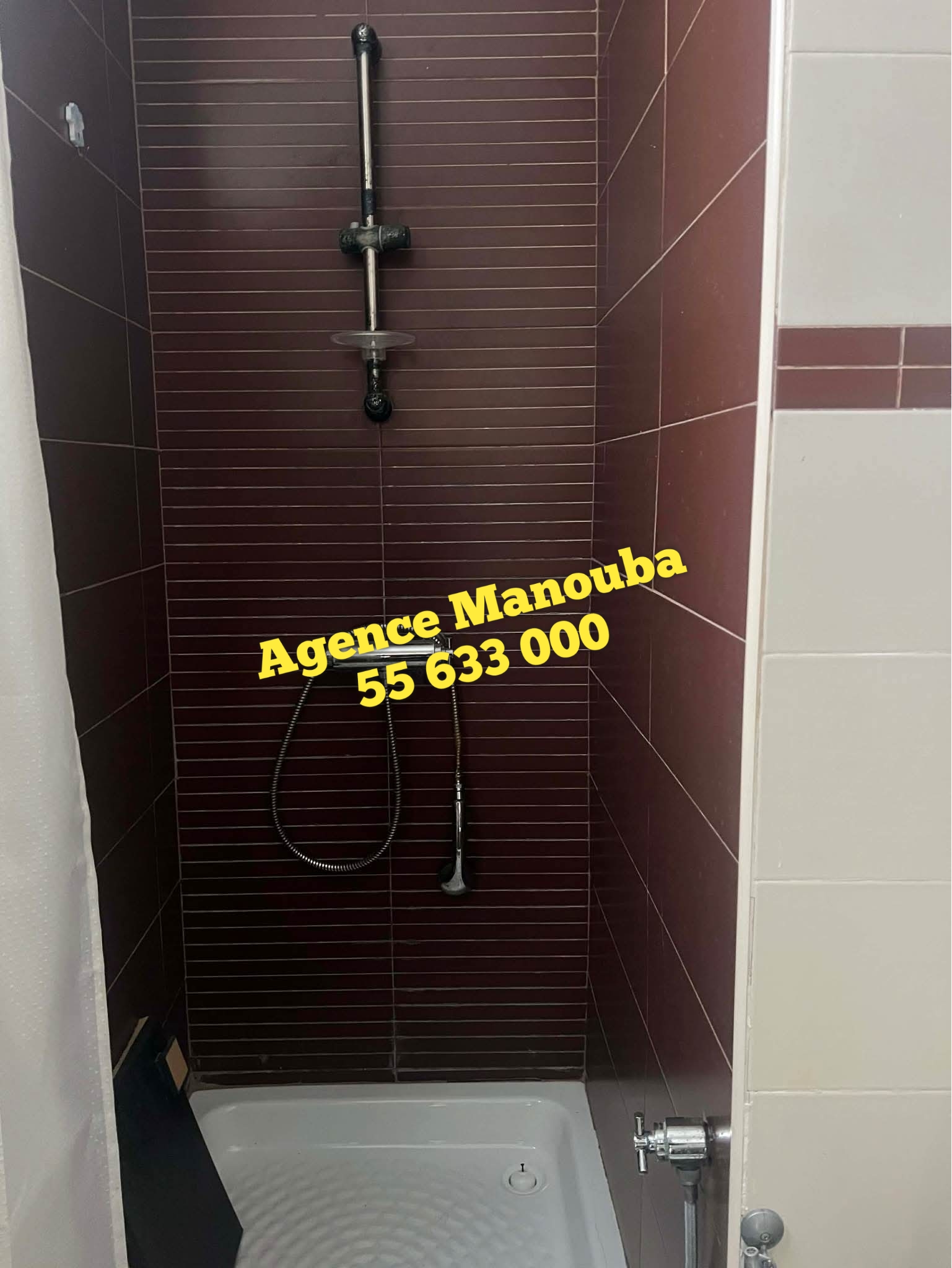 Mannouba&nbsp;La Mannouba&nbsp;Location&nbsp;Appart. 4 pi�ces&nbsp;Villa ind�pendante