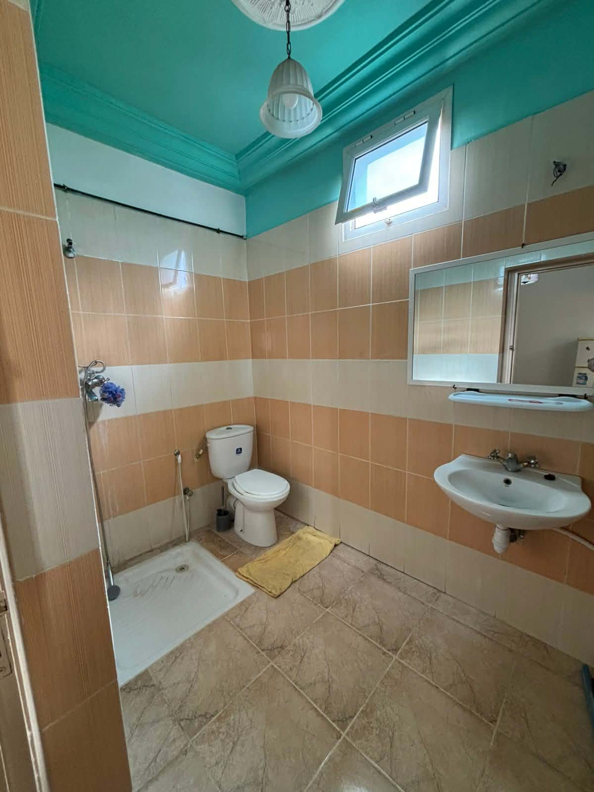 El Menzah&nbsp;El Menzah 9&nbsp;Location&nbsp;Autre&nbsp;Coquette studio s0 meubl�e
