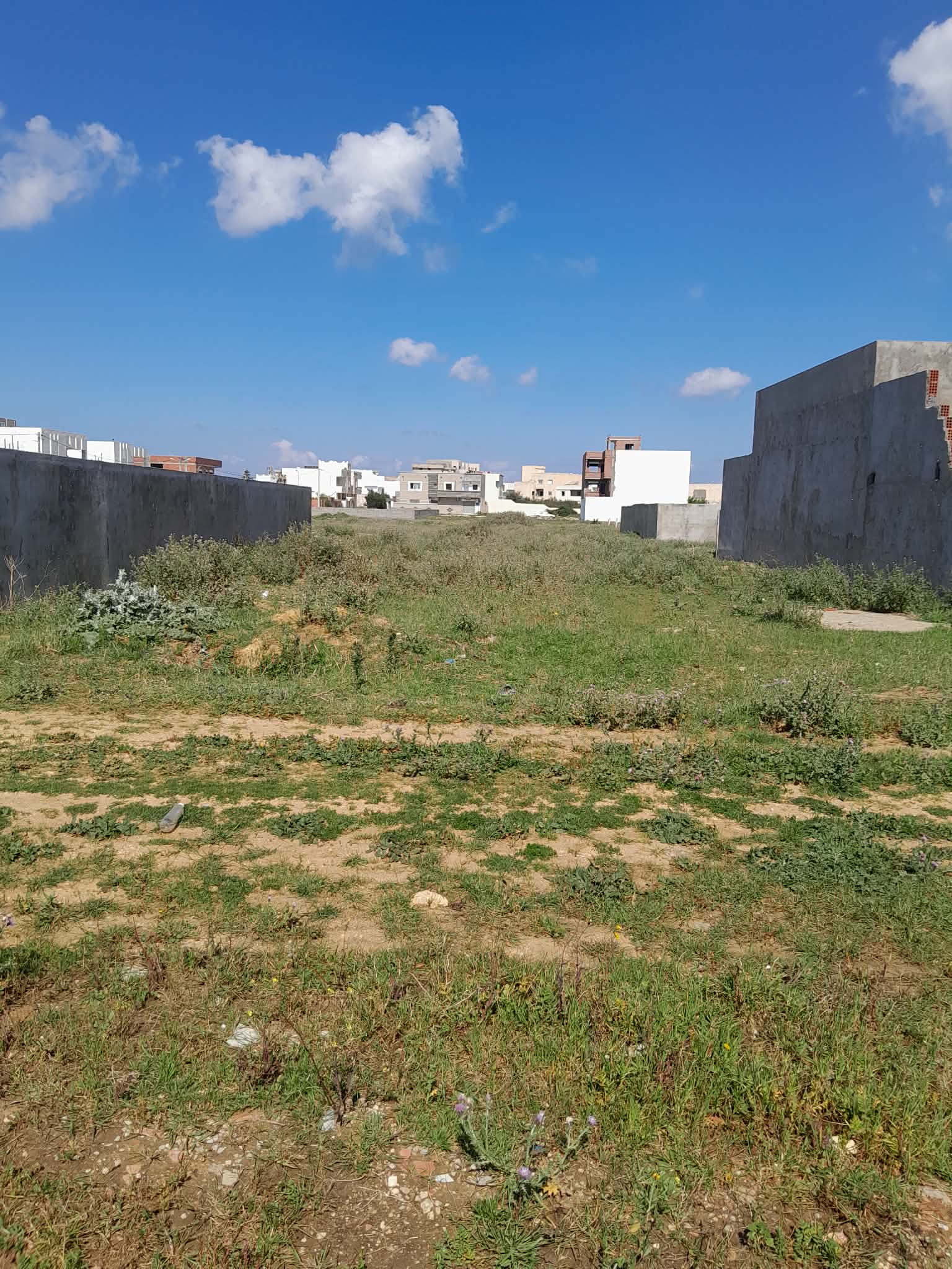 Kelibia&nbsp;Dar Allouche&nbsp;Vente&nbsp;Appart. 1 pi�ce&nbsp;Un terrain � dar allouche constructible centre