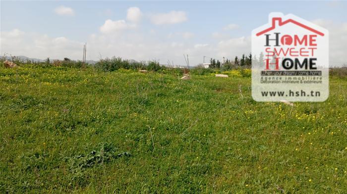 Raoued&nbsp;Borj Touil&nbsp;Vente&nbsp;Surfaces&nbsp;Terrain villa rimel � borj touil