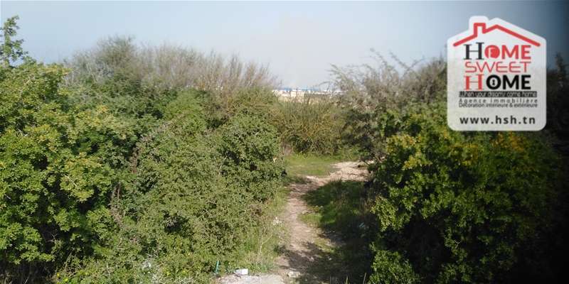 La Marsa&nbsp;Cite Bhar Lazreg&nbsp;Terrain&nbsp;Terrain nu&nbsp;Terrain alcazar  � bhar lazreg