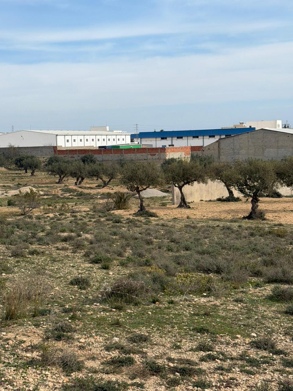 Sousse Jaouhara&nbsp;Cite Sidi Abdelhamid&nbsp;Vente&nbsp;Maisons&nbsp;Terrain constructible sousse  30000 m