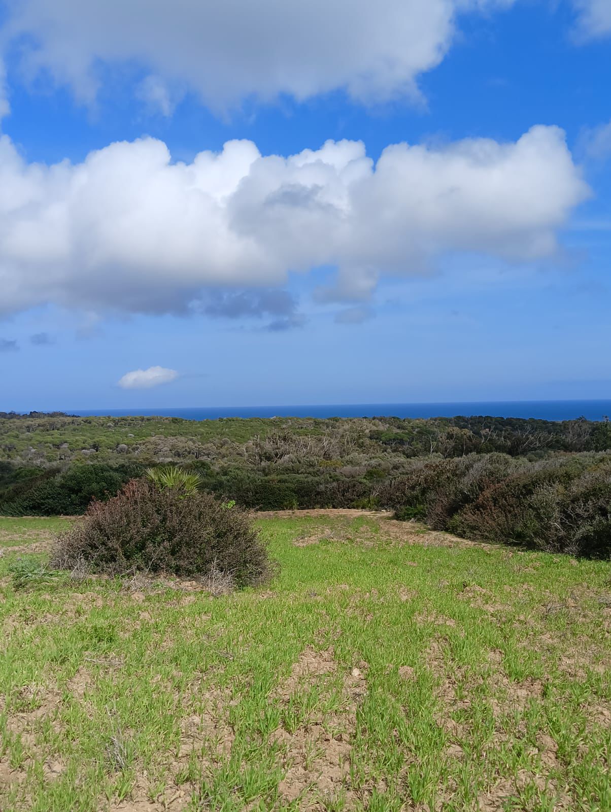 Kelibia&nbsp;Kelibia&nbsp;Terrain&nbsp;Terrain agricole&nbsp;Terrain a tamzarat prix wow